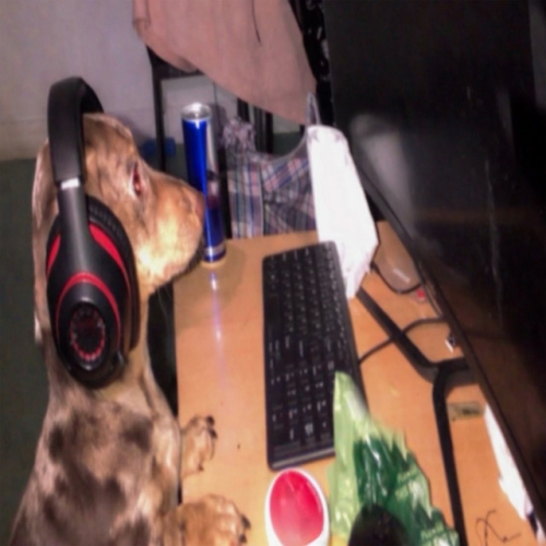 idk idk release cover art