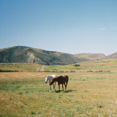 Do I Like You Like That release cover art